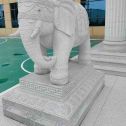 浙江 白麻花岗岩动物异形石雕-大象