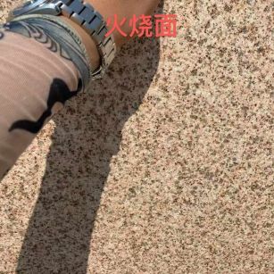 浙江黄金麻火烧面